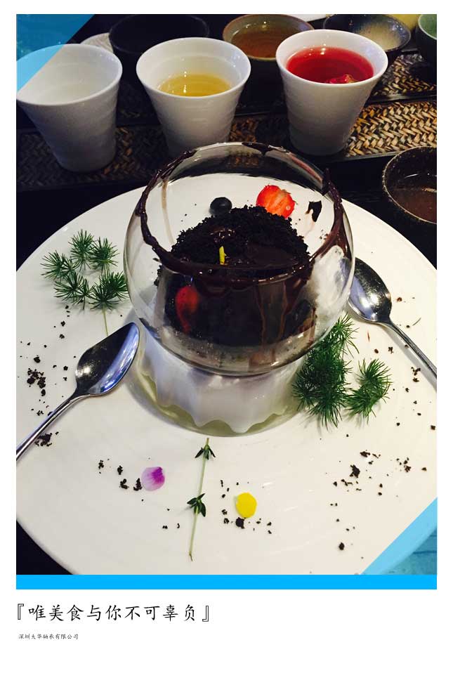 2015年第十二屆上海模型展,大華參展! 2015年第十二屆上海模型展,大華參展!