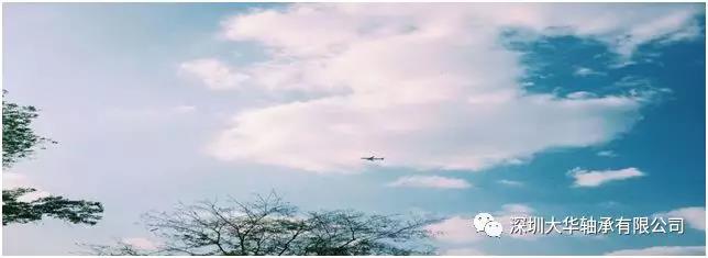 深圳大華軸承2019年戶外拓展培訓 深圳大華軸承2019年戶外拓展培訓